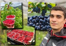 SA SAMO 19 GODINA RAZVIO OZBILJAN POSAO: Mnogi ga nisu shvatali ozbiljno, a on se posvetio radu i sada cela porodica živi od toga!