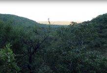 NA JEDNOJ NAŠOJ PLANINI IMA ZLATA ZA POLA EVROPE: Australijski gigant kupio projekat, a u njegovom timu i Srbi, čak njih 22