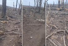 OVAKO IZGLEDA PRVA LINIJA FRONTA NAKON JURIŠA: Ukrajinci i Rusi MRTVI LEŽE jedni do drugih! TELA NEMOGUĆE PREBROJATI (VIDEO)