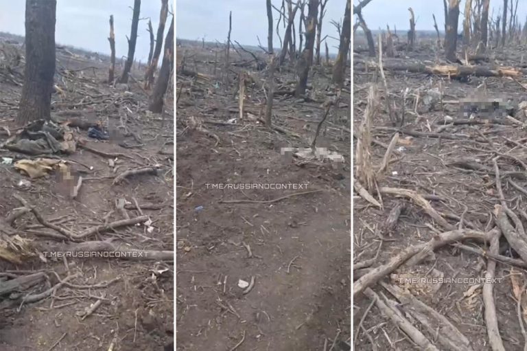OVAKO IZGLEDA PRVA LINIJA FRONTA NAKON JURIŠA: Ukrajinci i Rusi MRTVI LEŽE jedni do drugih! TELA NEMOGUĆE PREBROJATI (VIDEO)
