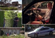 “PODIGLI SU GA OD KILE MESA, A SAD SU DOBILI METAK U GLAVU!” Isplivali novi detalji TROSTRUKOG UBISTVA u Knjaževcu