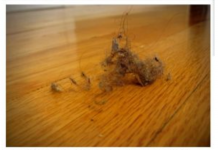 PRAŠINA U STANU ME IZLUĐIVALA, A ONDA MI JE SVEKRVA DALA ODLIČAN RECEPT: Sad čistim kuću trostruko rjeđe A SVE BLISTA