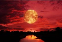 Stiže pun Mesec u Blizancima! 4 znaka neka se spreme za velike promene – 27. novembar je datum koji treba da zapamtite