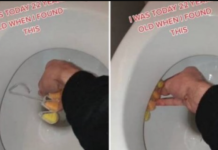 Žena na društvenim mrežama saznala: Svi griješimo kada stavljamo osvježivač zraka u toaletne šolje: evo kako to učiniti.