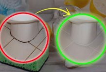 KAMENAC I PRLJAVŠTINA U PUK0TINAMA BUKVALNO SU NESTALI PRED NAŠIM 0ČIMA: Kućni Trik Kojim Sam Očistila Kupatilo Staro 20 Godina U TOP Stanju