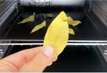 Svi bi trebali biti svjesni efekta koji se može postići jednostavnim stavljanjem običnog lovorovog lista u rernu i ostavljanjem da se peče 20 minuta.