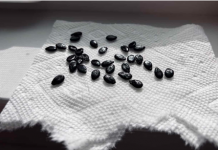 Sjeneke koje će vam obnoviti jetru, ubrzati metabolizam i unaprijediti cjelookupni organizam…