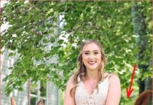 OVA SLIKA JE NAJVEĆI HIT, LJUDI PLAČU OD SMIJEHA: Kad vidite donji dio slike NEĆE VAM BITI DOBRO