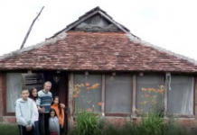 Ušao u kuću a tamo tri stotine zmija. Jedna stvar iz dvorišta napravila pakao od života…