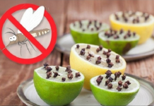 Limun i klinčići odlični u borbi protiv komaraca…