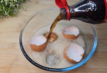 Uzmite ljuske od jaja, običnu K0LU i sačuvajte 0vaj domaći trik: Koristim ga godinama i preporučujem svima