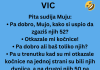VIC DANA: Muji otkazale kočinice