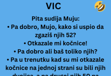 VIC DANA: Muji otkazale kočinice