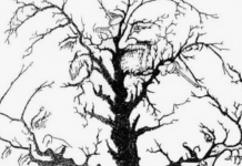 Mozgalica koja precizno otkriva koliko vam je dobro pamćenje – možete li uočiti sva lica na slici?