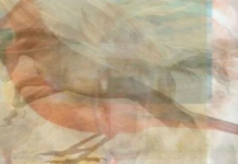 Koju životinju prvo vidite, to mnogo otkriva o vama: A ako pronađete svih 7 skrivenih, imate mozak genijalca