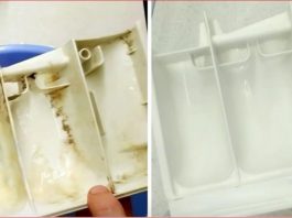 Ova stvar uklanja svu prljavštinu, kamenac i plijesan iz spremnika moje perilice: petnaest minuta i kao nova je!