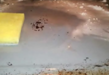 Kako održavam rernu čistom uz minimum truda – moj mjesečni TRIK za sjaj!