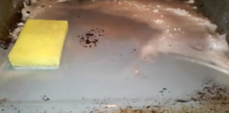 Kako održavam rernu čistom uz minimum truda – moj mjesečni TRIK za sjaj!