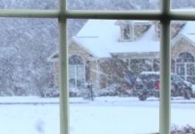 Potreban je samo jedan sastojak i ne morate prati prozore mjesecima