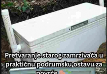 Pretvaranje starog zamrzivača u praktičnu ostavu za povrće