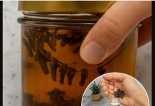 Klinčići i sirće – drevna kombinacija za snažan prirodni tonik