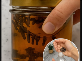 Klinčići i sirće – drevna kombinacija za snažan prirodni tonik