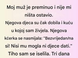 Moj muž je preminuo i ostavio mi ništa — ali jedna skrivena klauzula promenila je sve