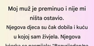 Moj muž je preminuo i ostavio mi ništa — ali jedna skrivena klauzula promenila je sve