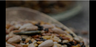 4 moćne sjemenke skidaju kilogram: Pojedite šaku dnevno, nosit ćete farmerke od prije 10 godina