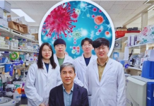 Revolucionarno otkriće u medicini: Novi pristup liječenju raka koji vraća nadu