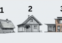 Koju biste kuću izabrali i šta taj izbor govori o vama