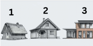 Koju biste kuću izabrali i šta taj izbor govori o vama