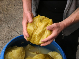 Što se događa s vašim tijelom ako jedete kiseli kupus 10 dana zaredom?