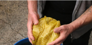 Što se događa s vašim tijelom ako jedete kiseli kupus 10 dana zaredom?