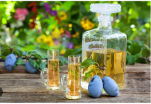 RAKIJAMA NEVJEROVATNU MOĆ: Ovih 10 zdravstvenih problema rakija će prije biti riješena nego kakvi lijekovi…