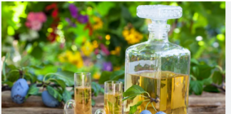 RAKIJAMA NEVJEROVATNU MOĆ: Ovih 10 zdravstvenih problema rakija će prije biti riješena nego kakvi lijekovi…