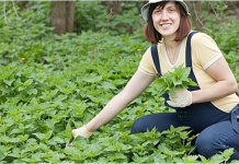 OVO JE DAR OD BOGA: Sprječava Rak, Umanjuje Prostatu, A Liječi Čak I Dijabetes