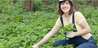 OVO JE DAR OD BOGA: Sprječava Rak, Umanjuje Prostatu, A Liječi Čak I Dijabetes