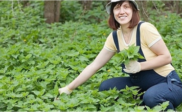 OVO JE DAR OD BOGA: Sprječava Rak, Umanjuje Prostatu, A Liječi Čak I Dijabetes