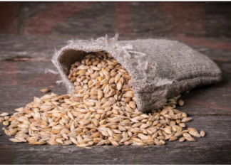 Ova žitarica prepuna je kolagena: Podmlađuje, jača kosti i čuva crijeva, jedite što češće.