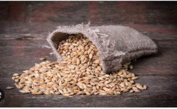 Ova žitarica prepuna je kolagena: Podmlađuje, jača kosti i čuva crijeva, jedite što češće.