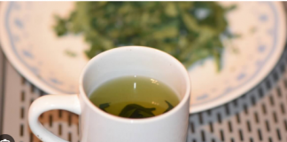 Čaj od lista smokve: tradicionalna upotreba, način pripreme i potencijalna podrška zdravlju