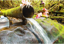 “DOVODILI JE NA IZVOR I UMIVALI… SAMO JE PROGLEDALA” Meštani veruju da se na ovom mestu u Srbiji dešavaju velika čuda