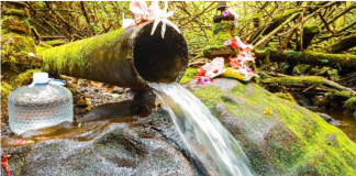 “DOVODILI JE NA IZVOR I UMIVALI… SAMO JE PROGLEDALA” Meštani veruju da se na ovom mestu u Srbiji dešavaju velika čuda