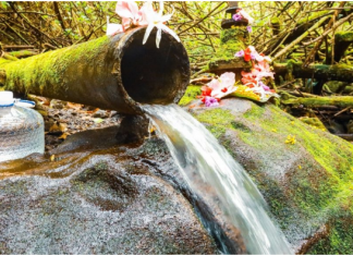 “DOVODILI JE NA IZVOR I UMIVALI… SAMO JE PROGLEDALA” Meštani veruju da se na ovom mestu u Srbiji dešavaju velika čuda