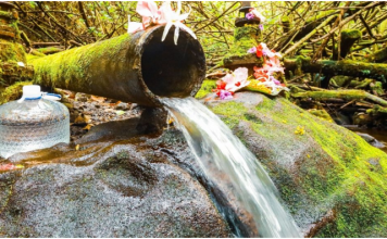 “DOVODILI JE NA IZVOR I UMIVALI… SAMO JE PROGLEDALA” Meštani veruju da se na ovom mestu u Srbiji dešavaju velika čuda