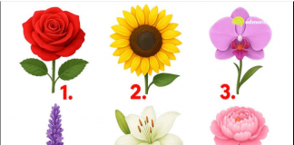 TEST: Koji cvijet vam se najviše dopada? – On otkriva kako vas drugi zapravo vide!