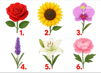 TEST: Koji cvijet vam se najviše dopada? – On otkriva kako vas drugi zapravo vide!