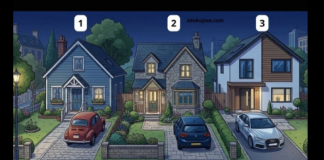 🧠 Izazov za vaš um: Pronađite trag i riješite misteriju. U koju kuću je lopov upravo ušao?