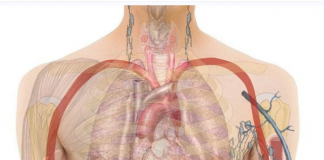 Rani znakovi srčanih problema: 6 simptoma koje ne treba ignorisati